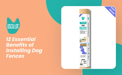 12 Essential Benefits of Installing Dog Fences