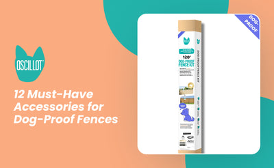 12 Must-Have Accessories for Dog-Proof Fences