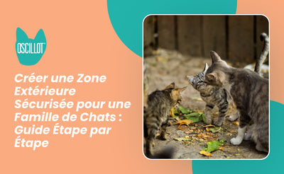 Créer une Zone Extérieure Sécurisée pour une Famille de Chats : Guide Étape par Étape