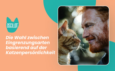 Die Wahl zwischen Eingrenzungsarten basierend auf der Katzenpersönlichkeit