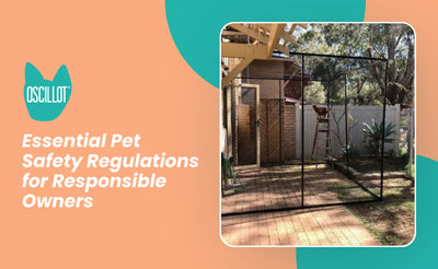 Essential Pet Safety Regulations for Responsible Owners