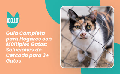 Guía Completa para Hogares con Múltiples Gatos: Soluciones de Cercado para 3+ Gatos