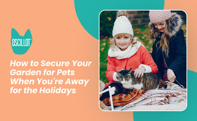 How to Secure Your Garden for Pets When You're Away for the Holidays