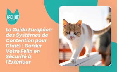 Le Guide Européen des Systèmes de Contention pour Chats : Garder Votre Félin en Sécurité à l'Extérieur
