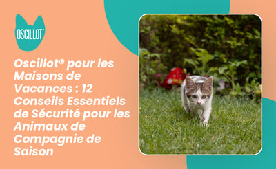 Oscillot® pour les Maisons de Vacances : 12 Conseils Essentiels de Sécurité pour les Animaux de Compagnie de Saison