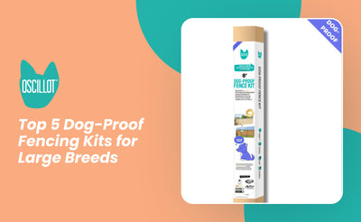 Top 5 Dog-Proof Fencing Kits for Large Breeds