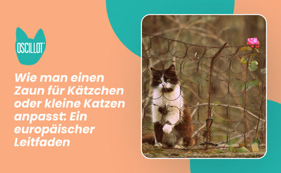 Wie man einen Zaun für Kätzchen oder kleine Katzen anpasst: Ein europäischer Leitfaden